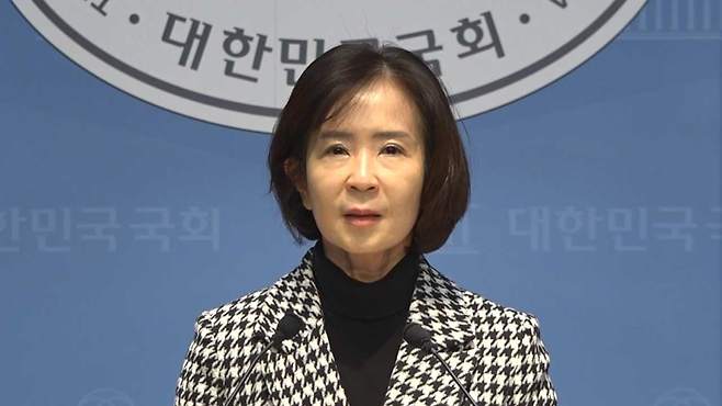 국민의힘 최수진 수석대변인