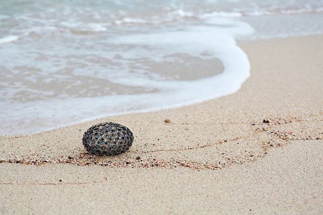고혜정 作 ‘Collection of Ulster Museum’ (고혜정 스튜디오 제공)