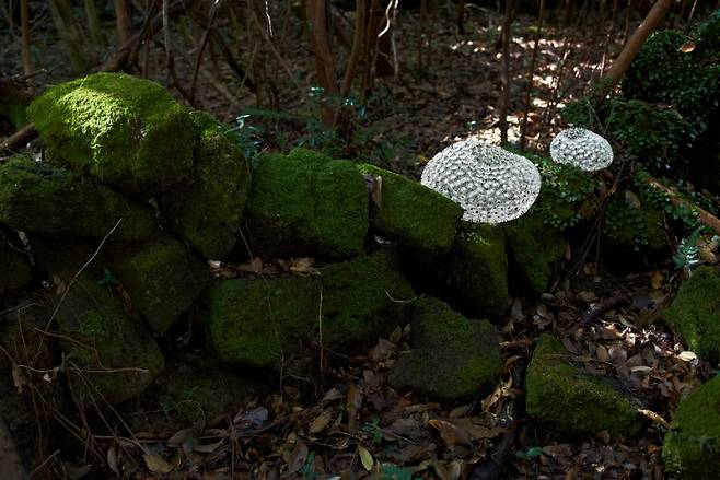 고혜정 作 ‘Calmness’ (고혜정 스튜디오 제공)