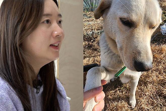 충남 아산의 제보자 송정희(38)씨는 2024년 12월 구조한 4살 리트리버 몽구를 1년 째 임시보호하고 있다. 그는 "영하 10도의 칼바람이 부는 들판에 방치된 몽구를 외면할 수 없어 도움을 주던 것이 구조로 이어졌다"며 사연을 소개했다. 전병준 기자