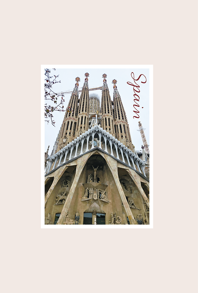 사진 = 바른북스