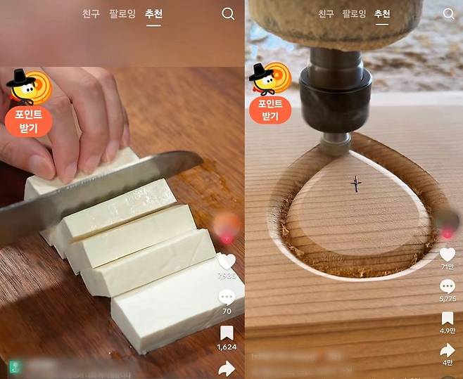 [서울=뉴시스] 틱톡 라이트. (사진=틱톡 라이트 캡처) 2026.02.05. photo@newsis.com *재판매 및 DB 금지