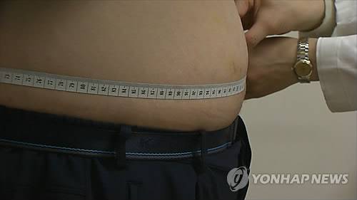 비만 [연합뉴스TV 자료]