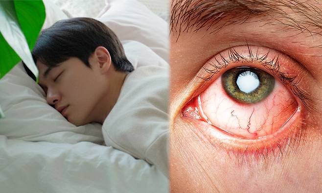 위 사진은 기사 이해를 돕기 위해 AI(인공지능)를 활용해 생성한 가상의 이미지입니다. 구글 gemini 생성