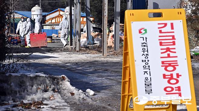 지난달 포천시 한 양돈농장에서 아프리카돼지열병(ASF)가 발병해 중앙사고수습본부가 초동 방역에 들어간 가운데&nbsp; 관계자들이 방역작업을 하고 있다. 중부포토DB