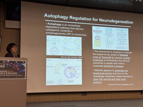 김현진 성균관대학교 의과대학 교수 / 디멘시아뉴스