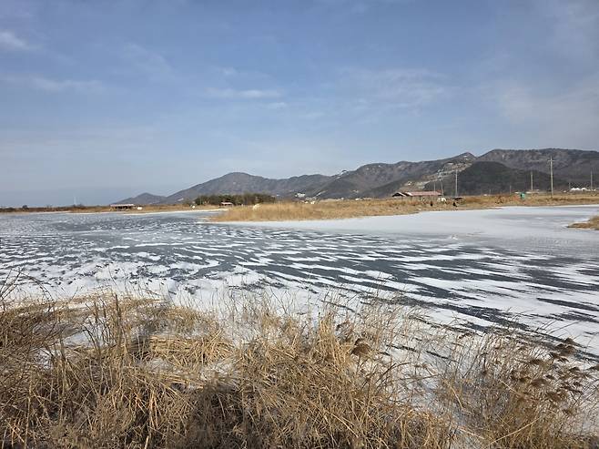강화 석모도 습지의 겨울 풍경. 얼음 위로 부는 찬바람에 눈가루가 날리고 있다.