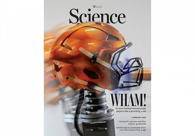 사이언스 제공.