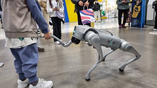 반려견을 닮은 4족 보행로봇 ‘Go2’ 정옥재 기자