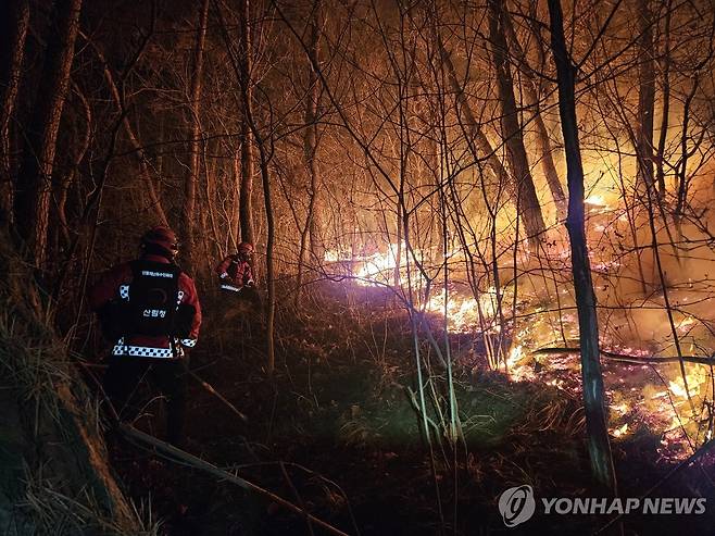 경주 문무대왕면 산불 (경주=연합뉴스) 지난 7일 오후 9시 40분께 경북 경주시 문무대왕면 입천리 야산에서 산불이 발생해 산림 당국이 진화작업을 이틀째 벌이고 있다. 2026.2.8 [산림청 제공. 재판매 및 DB금지] photo@yna.co.kr