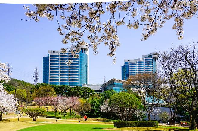 봄에는 벚꽃 축제가 열릴 만큼 조경이 아름답다.(사진제공 삼성노블카운티)