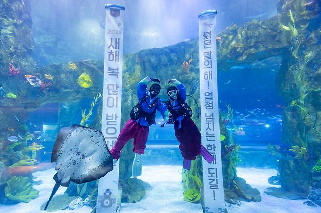 ◇롯데월드 아쿠아리움 아쿠아리스트들의 수중 새해 인사 모습
