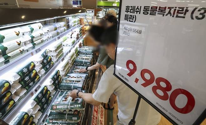 지난해 8월 서울의 한 대형마트에서 시민들이 달걀을 고르고 있다. /임형택 기자