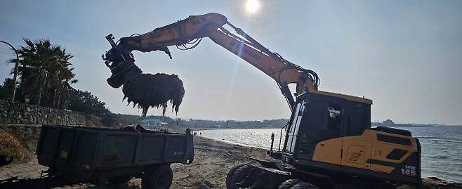 제주 강동삼 기자