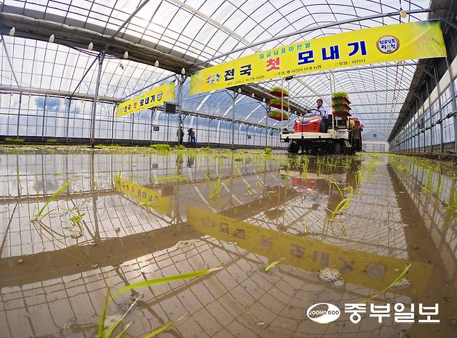 10일 오후 이천시 호법면 한 비닐하우스 논에서 열린 '임금님표 이천쌀 전국 첫 모내기' 행사에서 농민이 이앙기로 모를 심고 있다. 김경민기자