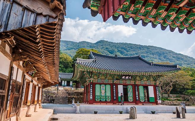 전남 영광 불갑사.