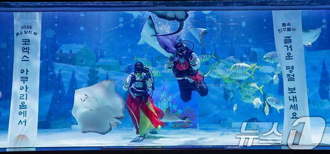 한복을 입은 스쿠버 다이버들이 설 연휴를 앞둔 10일 오전 서울 강남구 씨라이프 코엑스 아쿠아리움에서 새해 인사를 전하고 있다. 2026.2.10 ⓒ 뉴스1 안은나 기자