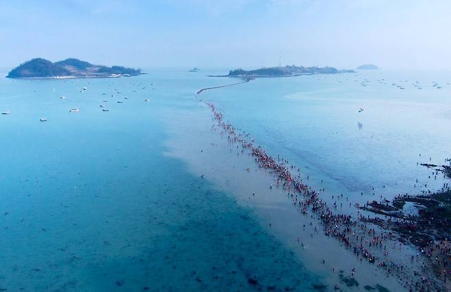 한국판 ‘모세의 기적’으로 유명한 진도 ‘신비의 바닷길’ 축제