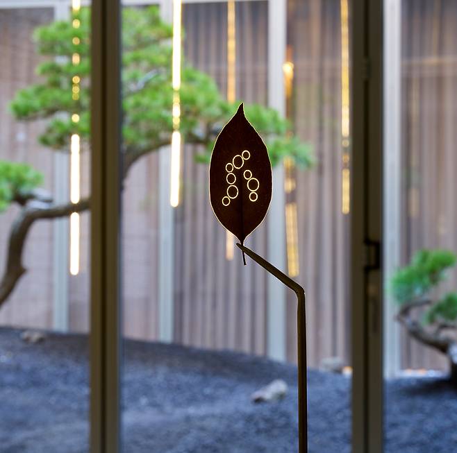 ③ ‘우아함과 체념’, 2011, 마른 잎사귀(일본 고무나무 아종), 메탈 스탠드와 환등기, 가변크기. 사진 김상태ⓒ 에르메스 재단 제공