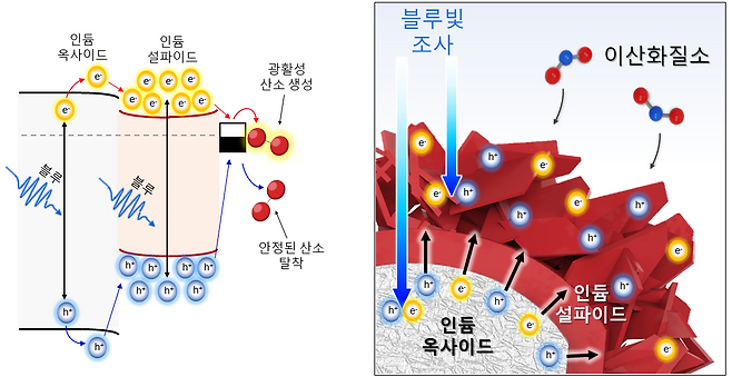 새로 개발된 '전자 코' 모식도