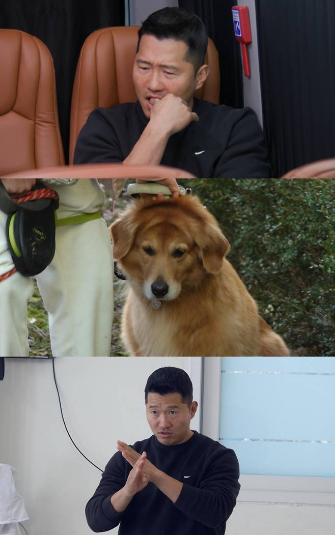 ‘개늑시2’ 훈육 vs 학대 논쟁 (제공: 채널A)