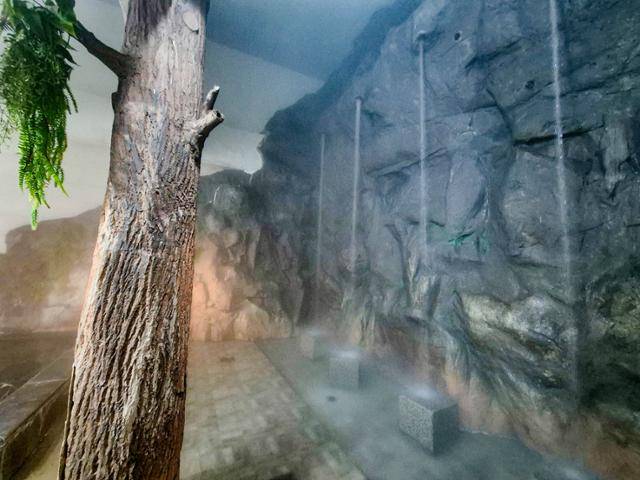 아산 온양온천 신천탕 가장 안쪽 인공 암벽에서 지압 폭포가 쏟아지고 있다. 아산=이한호 기자