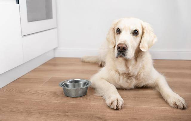 게티이미지뱅크