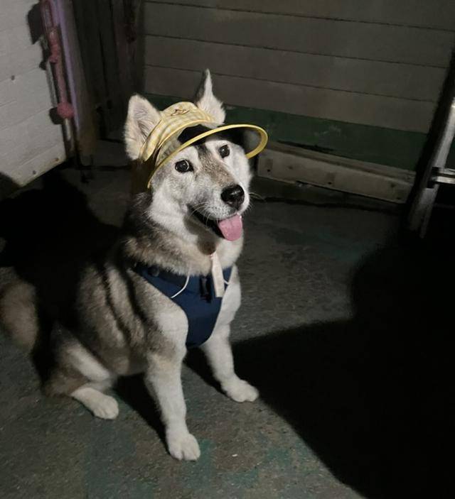 허진이 표정이 참 밝아졌죠!? 보호자 제공