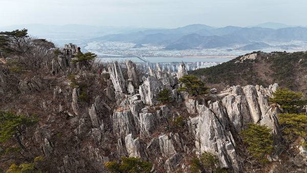 금정산 ‘상계봉’이라는 이름의 유래가 된 정상부의 장닭 머리에 돋아난 볏(닭벼슬)을 닮은 바위 능선 풍경이다. 그 뒤로 낙동강에 걸린 화명대교와 김해 백두산 신어산 무척산이 보인다(드론 사진).