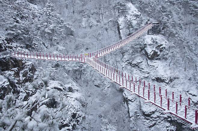 [거창=뉴시스] 거창 항노화 힐링랜드 (사진=거창군 제공) 2026. 02. 11. photo@newsis.com  *재판매 및 DB 금지