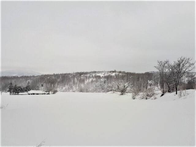 눈온 날의 시골 마을 풍경. 시골살이를 하면서 스스로 고립을 자초하는 것은 아닌지 돌아볼 필요가 있다.