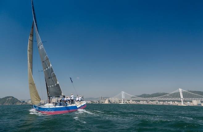 수영만 요트 풍경 [김울프 작가 제공]