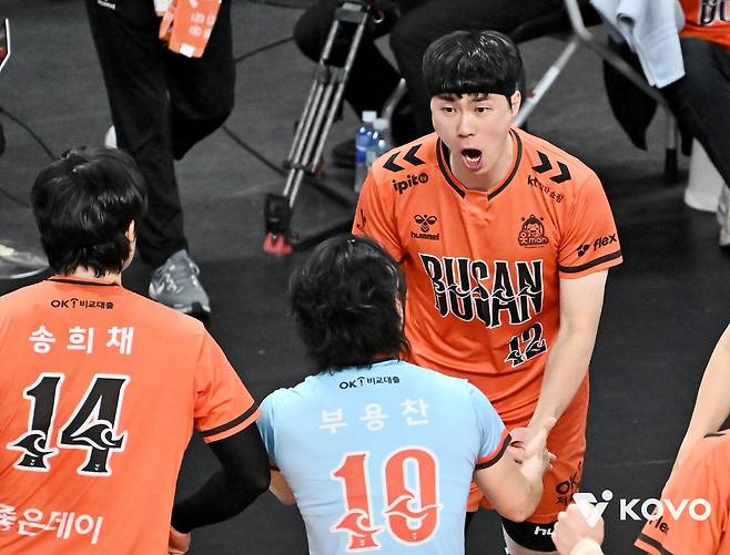 전성기를 되찾은 OK저축은행 베테랑 전광인의 포효 [한국배구연맹 제공. 재판매 및 DB 금지]