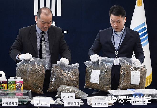 마약범죄 정부합동수사본부가 상가, 빌라 등 주거밀집지역에 전문 대마 재배시설을 갖추고 대량의 대마를 재배해 유통한 일당을 적발해 재판에 넘긴 가운데 12일 오전 수원시 영통구 수원지방검찰청에서 합수본 관계자들이 증거품을 들어보이고 있다. 임채운기자