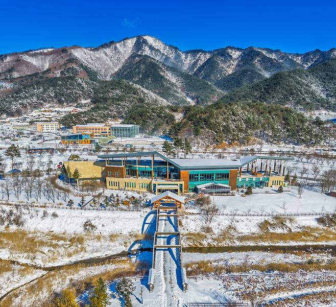 ▲ 국립백두대간수목원 설경 (사진- 국립백두대간수목원)