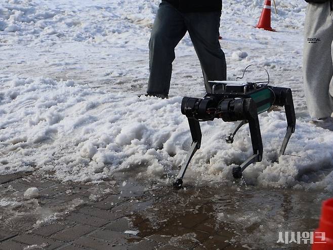 이인호 부산대학교 전기전자공학부 교수 연구실(CAMEL) 소속 'CamelStride' 연구원들이 개발한 로봇 '캐나인(canine)'의 모습./ 사진=박설민 기자