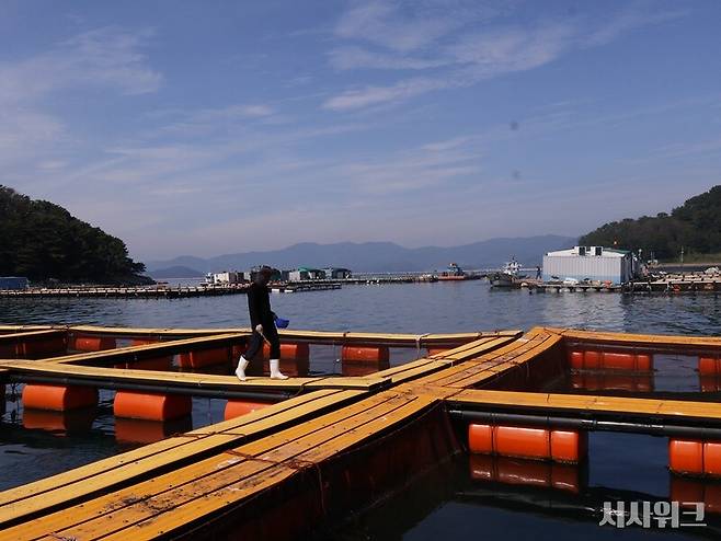 세계자연기금(WWF)는 '지속가능한 수산물 먹거리 보고서'를 발간했다고 12일 밝혔다. 이번 보고서는 이마트와 공동으로 발간했다. 기후변화로 심화되고 있는 수산물 공급망의 구조적 리스크를 진단하고 지속가능한 전환 방향 제시를 목표로한다. 사진은 거제 쥐치 해상 가두리 양식장./ 시사위크DB