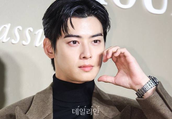 배우 차은우. ⓒ데일리안 DB