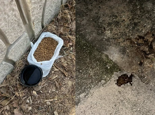 /사진=온라인 커뮤니티