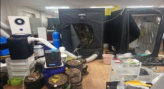 상가 내 모습. [마약범죄 정부합동수사본부]