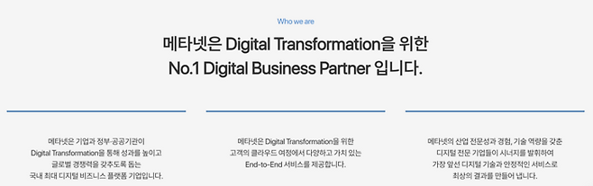 메타넷 소개 [메타넷 홈페이지 캡처]