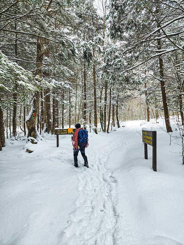 폭포수 트레일로 들어서는 길. 일반인들은 자유롭게 출입할 수 없다.