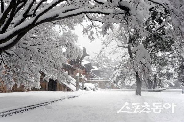 경주를 상징하는 세계유산 불국사의 겨울. 사진제공 ㅣ 경주시