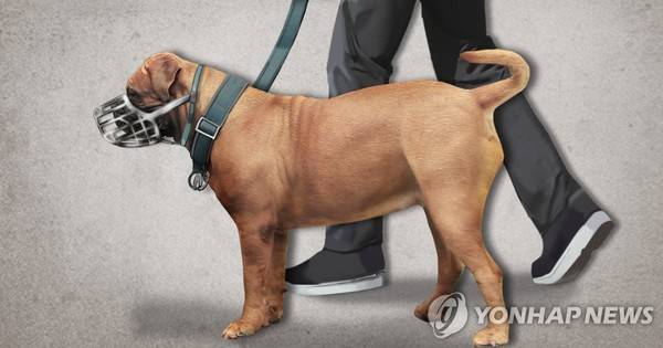 맹견 목줄 입마개 착용 이미지 [사진=연합뉴스]