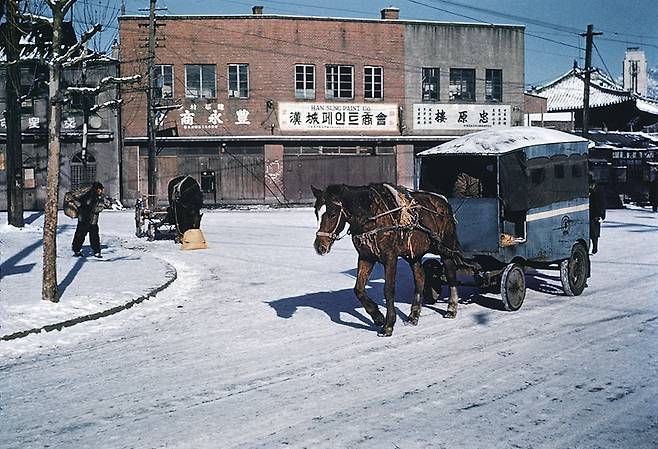 1948년 서울거리에서 말이 끄는 일종의 