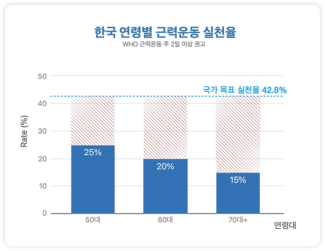 통계청 ‘2024 고령자 통계’, 국민건강영양조사 재분석(노인의 건강상태와 신체활동에 관한 연구), 보건복지부·한국건강증진개발원