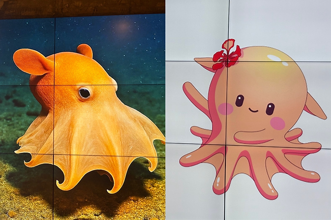 덤보 문어(왼쪽)에서 착안한 새로운 마스코트 ‘미라’(오른쪽)/사진=김지은 여행+ 기자