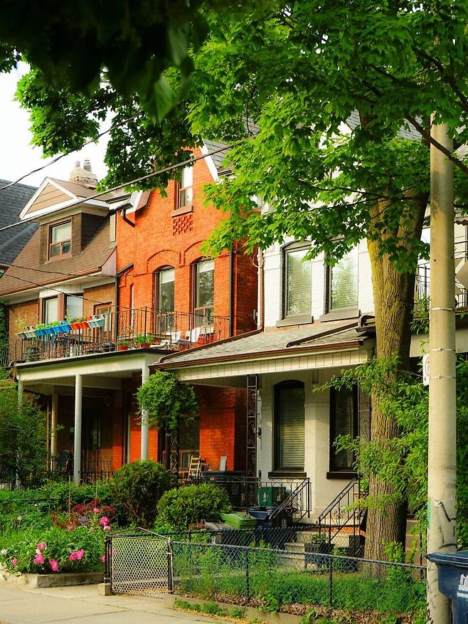 하우스는 각자 특색이 있어 산책하며 슬쩍 구경하기에도 좋다