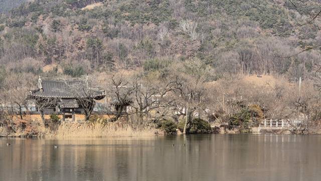 밀양 위양지에 있는 ‘완재정’. 호수와 어우러진 정자의 모습이 마치 한 폭의 산수화 같다 ./도희주 동화작가/