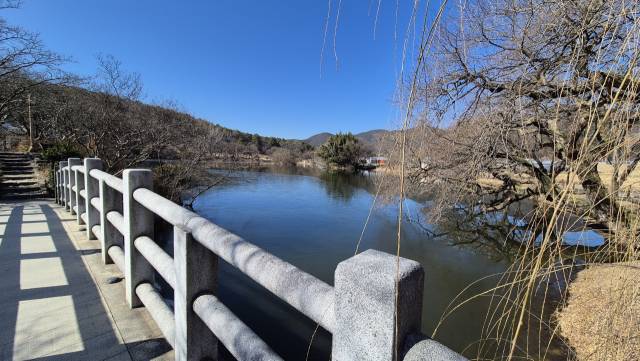 위양지 구름다리에서 본 섬.